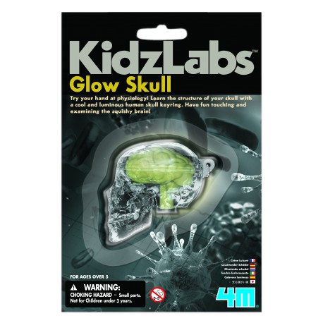 4M ของเล่น Kidz Labs - Glow Skull