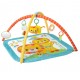 Bright Starts Lions and Blooms Activity Gym